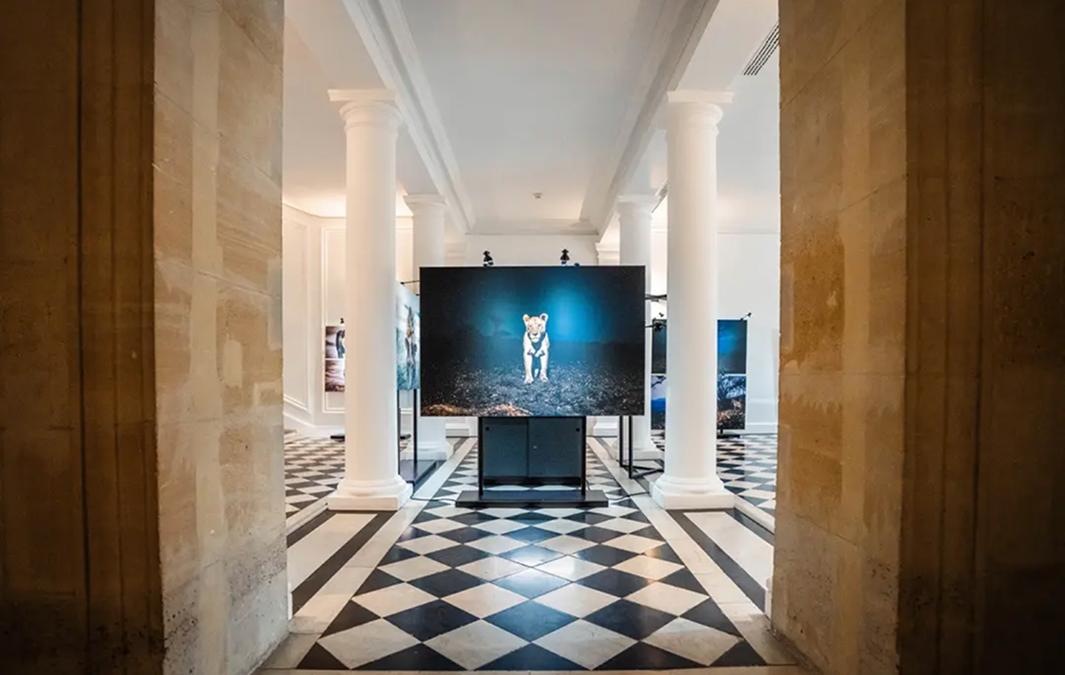パリ展の展示風景