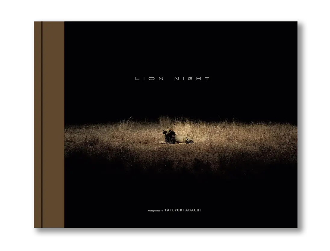 写真集『LION NIGHT』の表紙