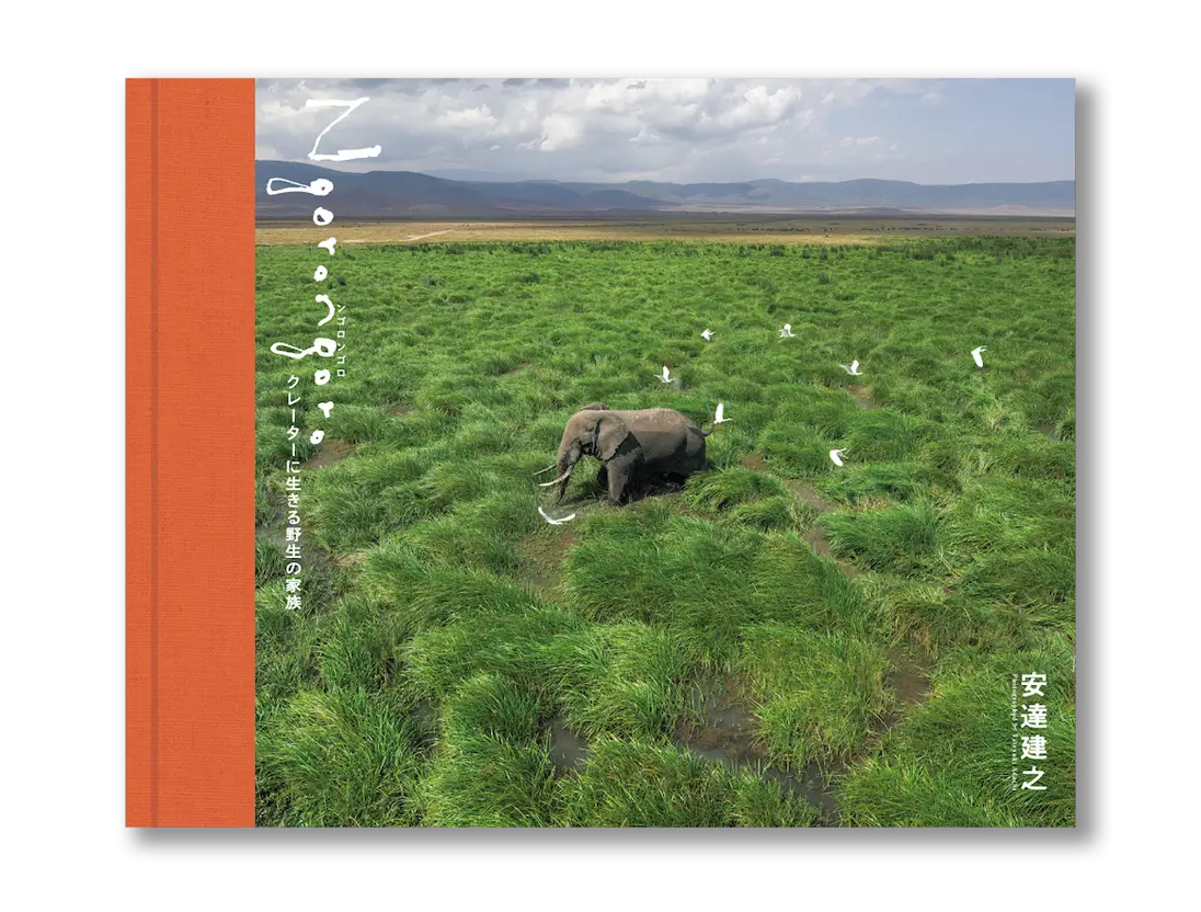 写真集『Ngorongoro』の表紙