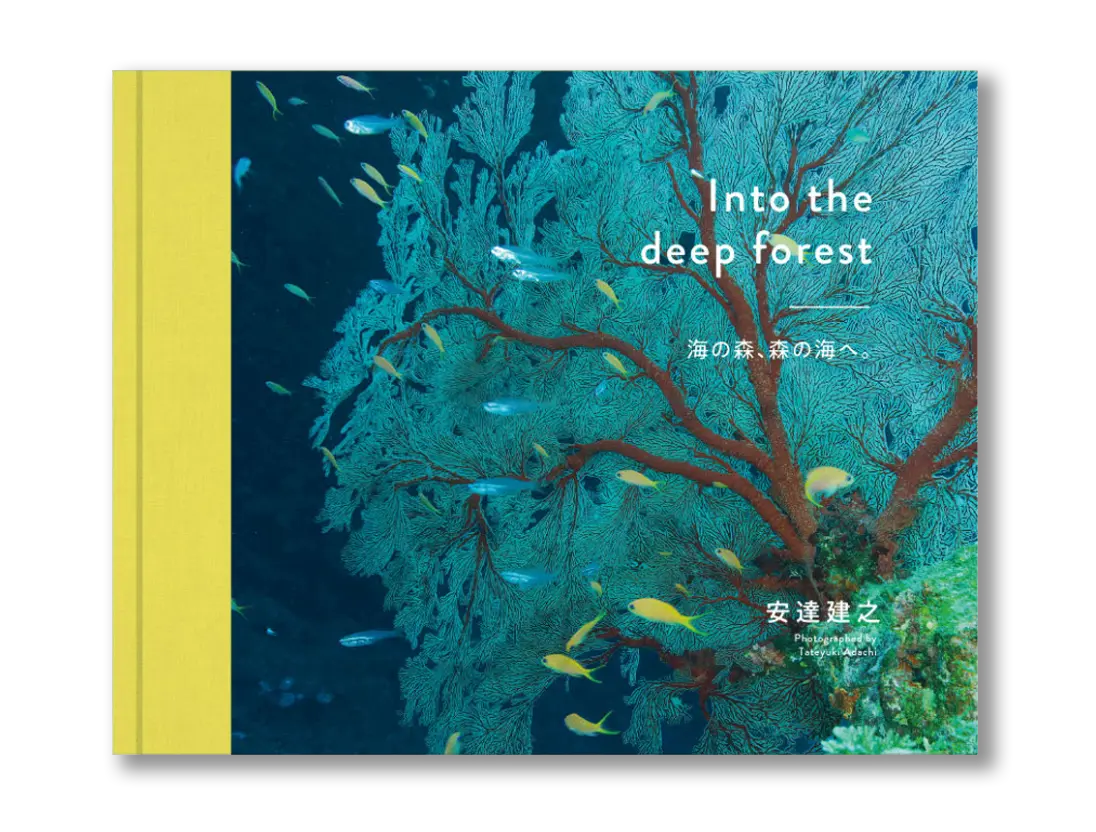 写真集『Into the deep forest』の表紙